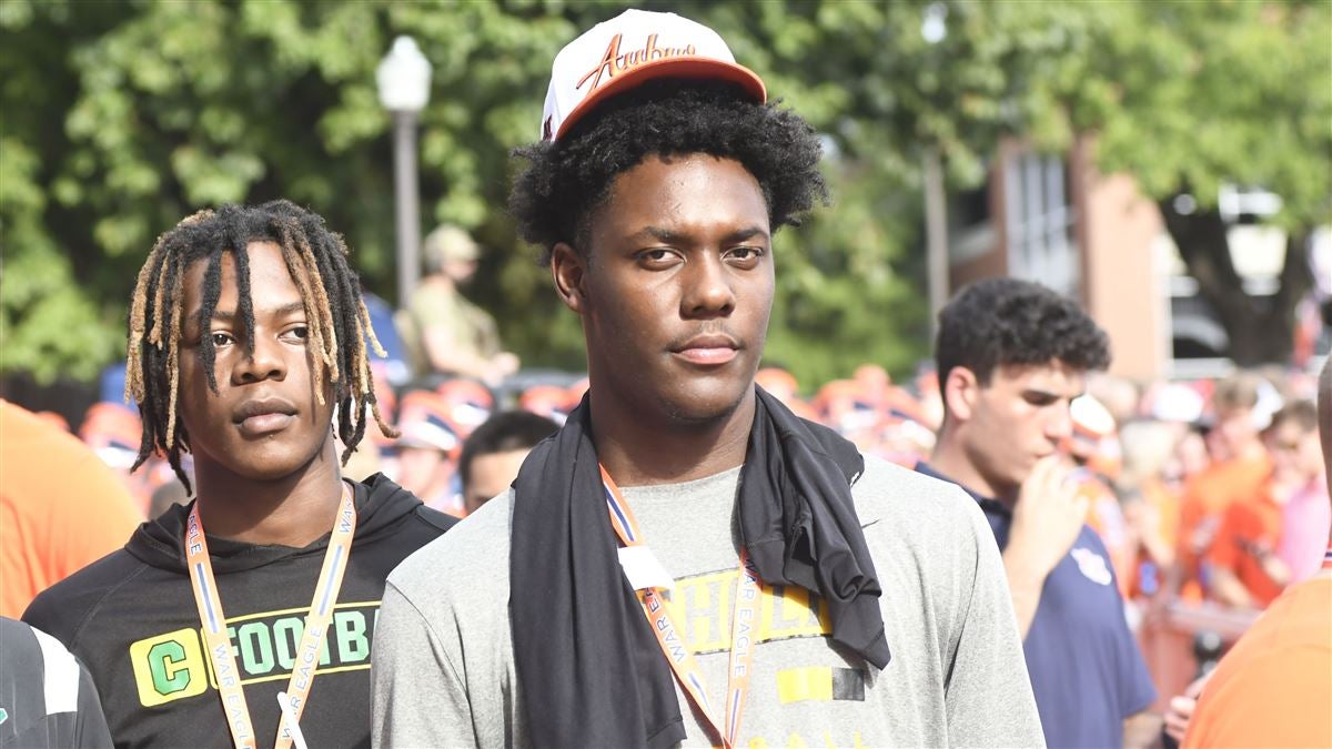 利用其出色 利用其出色