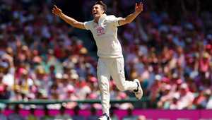 击和组织调 击和组织调